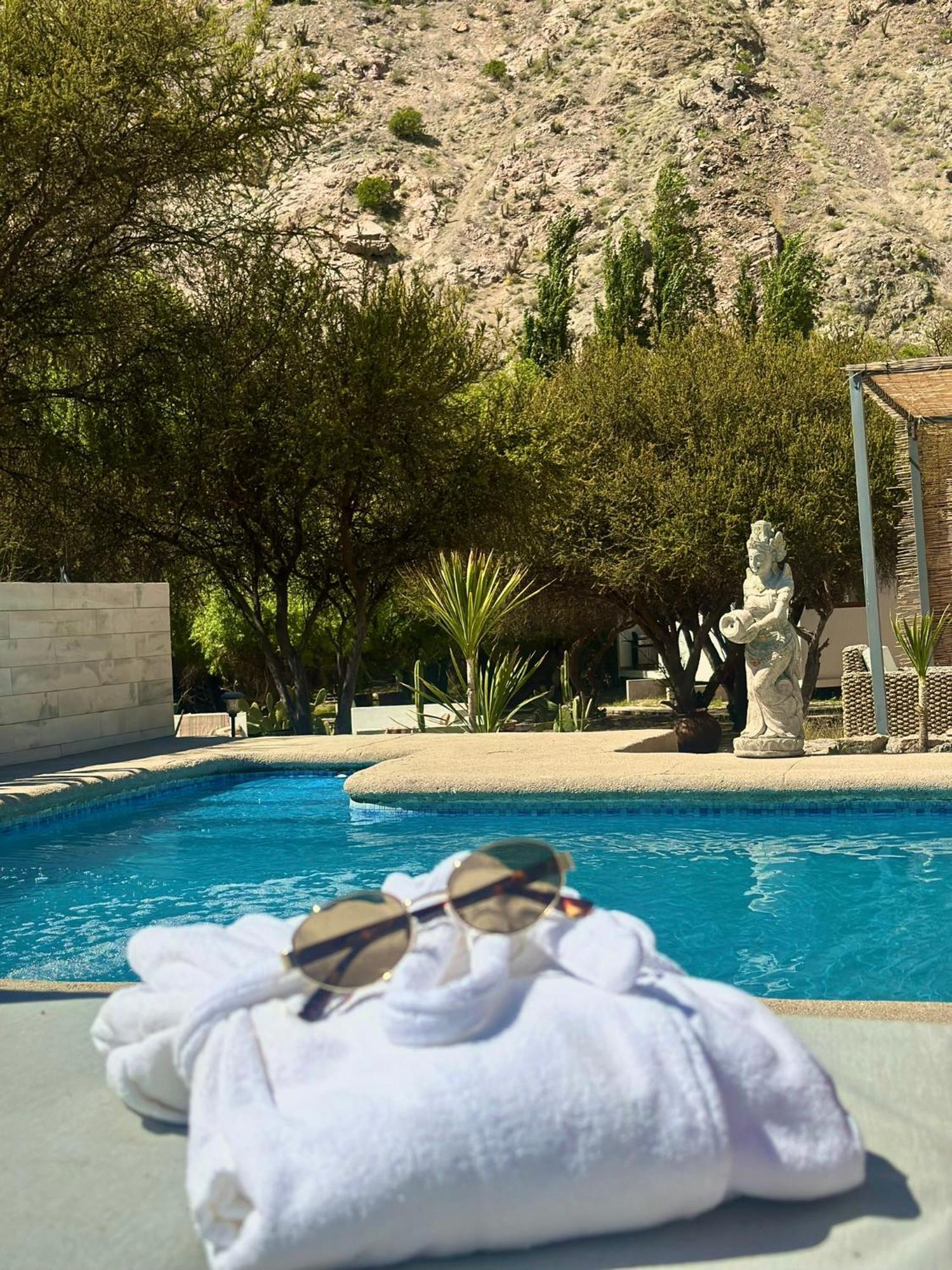 Aldea Del Valle - Elqui Villas, ปิสโกเอลกี ภายนอก รูปภาพ