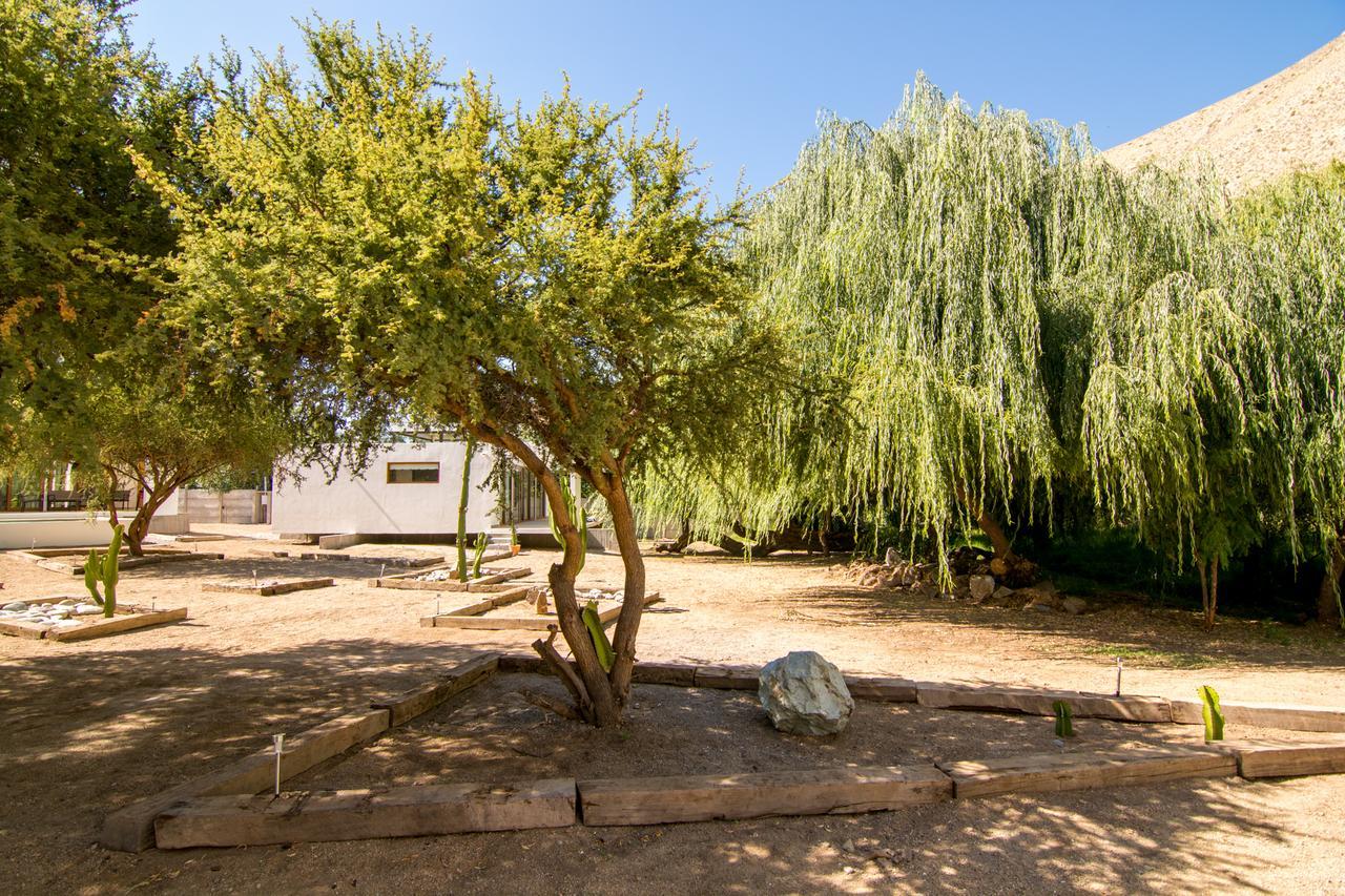 Aldea Del Valle - Elqui Villas, ปิสโกเอลกี ภายนอก รูปภาพ