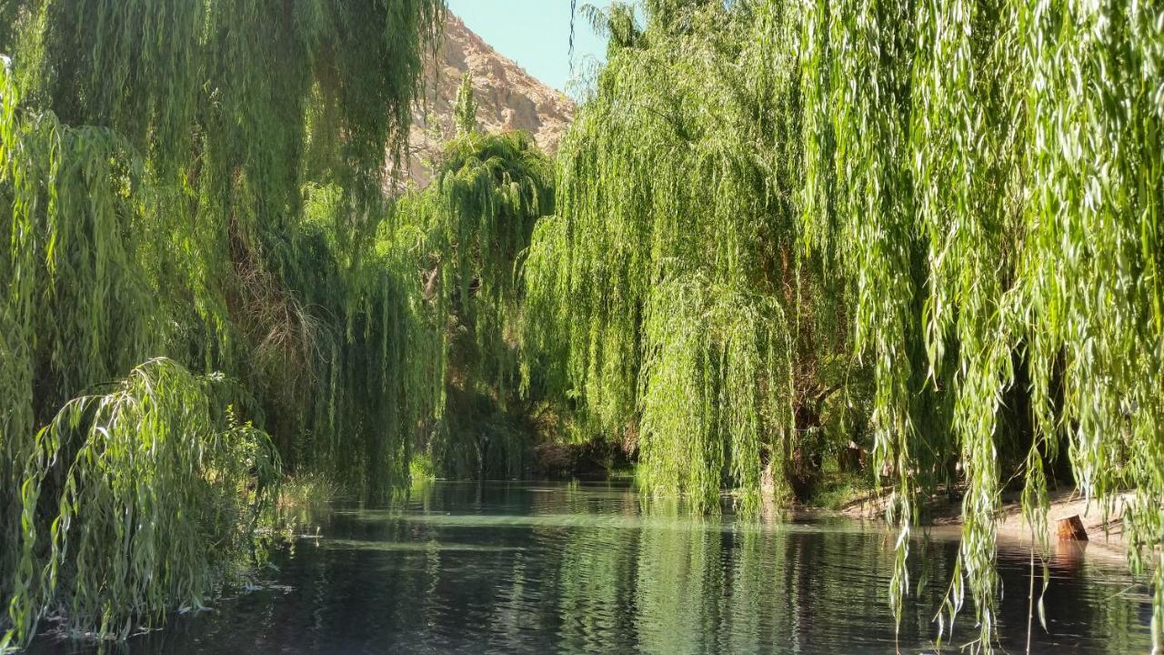 Aldea Del Valle - Elqui Villas, ปิสโกเอลกี ภายนอก รูปภาพ